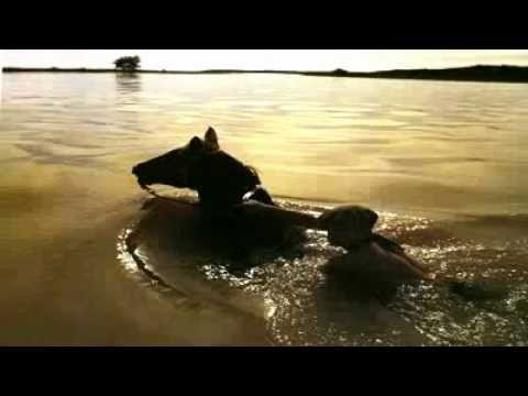 Gustavo Guichon - - Donde no paso la ciencia.......