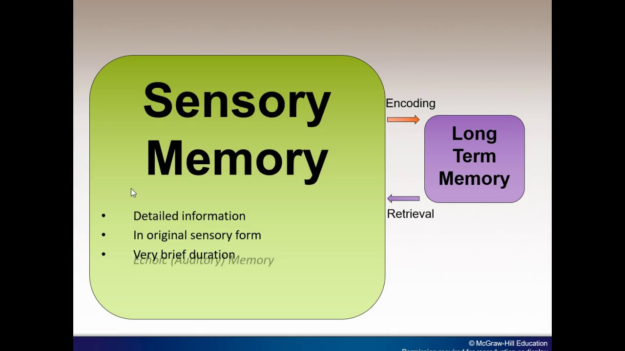 Chapter 7 Memory Narrated PowerPoint