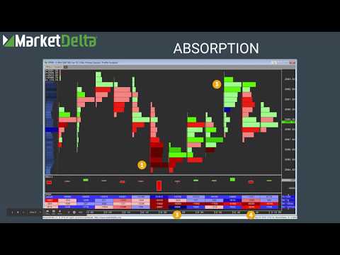 Absorption Clip