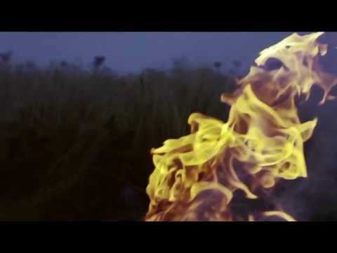 Yak Boy Fresh Found God (2017)