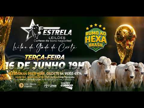 ESTRELA LEILÕES  - AO VIVO - 17/06/2026  -  19H - MORRINHOS - GOIÁS