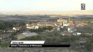 preview picture of video 'Grisel en El Tiempo de Aragón TV'