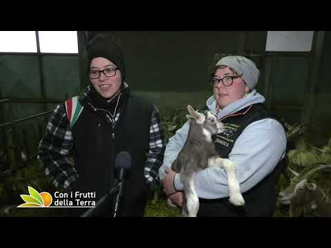 Puntata del 10/1/21 –  1° parte –  Giovani allevatrici in Val Camonica