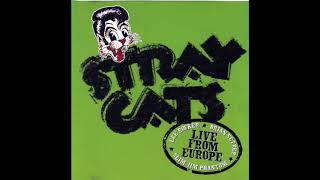 Stray Cats - Sweet Love On My Mind (live) Barcelona