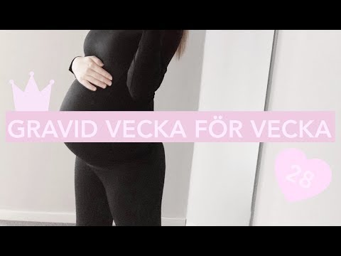 GRAVID VECKA FÖR VECKA: V.28