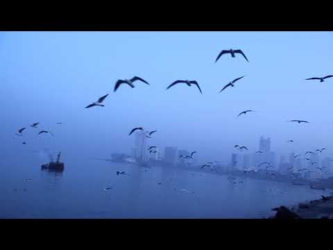 Shivam khurana DOCUMENTARY - MUMBAI MERI JAAN