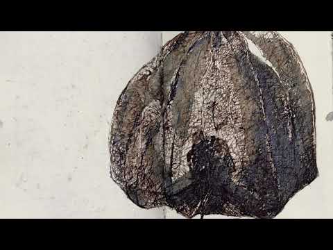 @ionbogdanstefanescu  Călin Ioachimescu - Organum Decimum