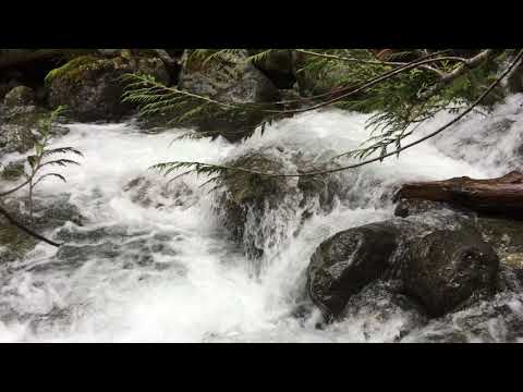 Big Creek in action. There are numerous places to stop, take a breather and admire the view, and then get back to your ascent or descent of this kid-friendly hike.
