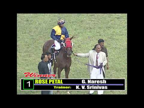 Rose Petal takes the The Nawab Sultan Ali Khan Memorial Cup 2017