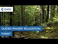Guided Imagery Meditation: Forest | CHOC
