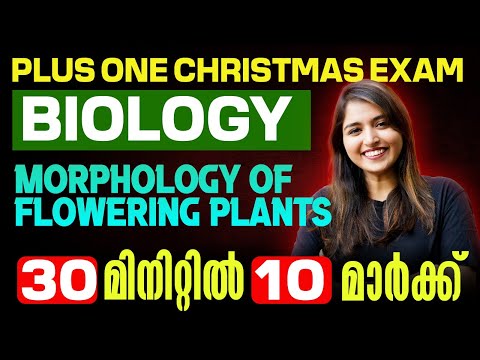 Plus One Biology Christmas Exam | Morphology of Flowering Plants | 10 Mark in 30 Min.  | Exam winner
