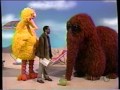 Sesame Street Spike Lee Directs The Summer Of Snuffy
