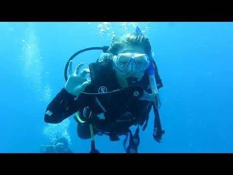 Scuba Diving the Great Barrier Reef - Port Douglas