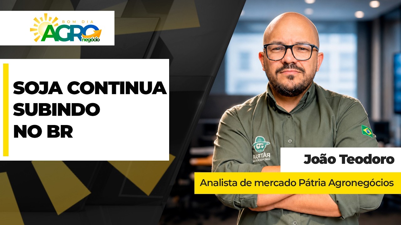 Preços da soja continuam subindo no Brasil e safra já acumula R$ 16/sc de ganho em quatro meses
