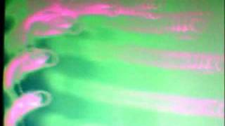 L.A. Spinetta y los socios del desierto - La luz te fue