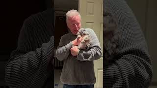 Dad gets emotional when family surprises him with new puppy | Humankind #Shorts