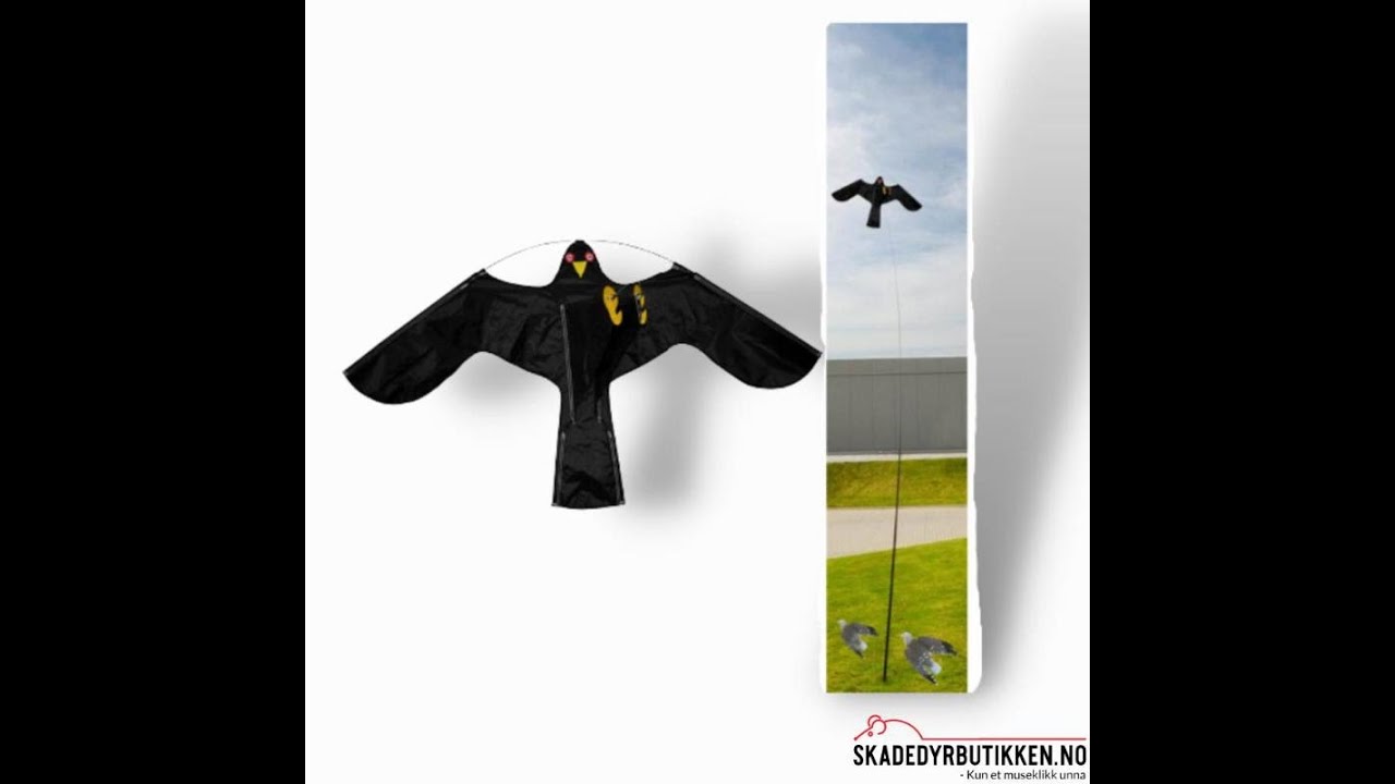 Fugleskremsel på 4 meter teleskop stang - Green it