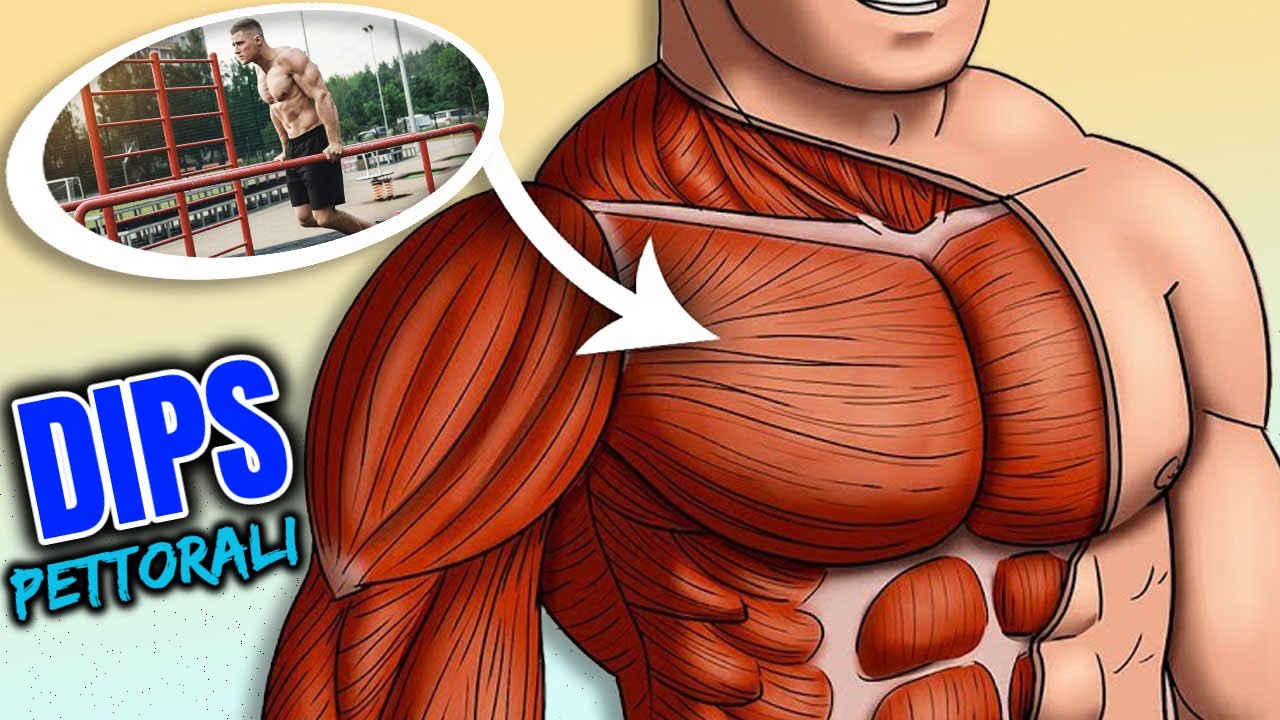 DIPS PETTORALI - FALLE in questo MODO per METTERE più MASSA MUSCOLARE nei PETTO *petto basso*