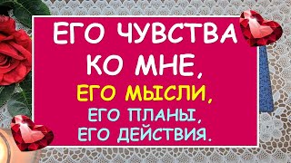 ЕГО ЧУВСТВА КО МНЕ, ЕГО МЫСЛИ, ЕГО ПЛАНЫ, ЕГО ДЕЙСТВИЯ. Таро Онлайн Расклад Diamond Dream Tarot