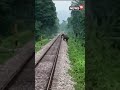 Elephant Saved After A Train Driver Noticed It Crossing Track Latest Shorts CNN News18