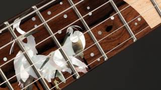 Video thumbnail for PRS Private Stock Hollowbody II Piezo December Guitar #6747 by wildwiremusic