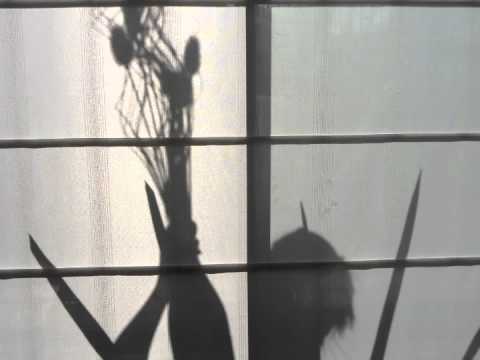 download lagu mp3 mp4 Amcq, download lagu Amcq gratis, unduh video klip Amcq