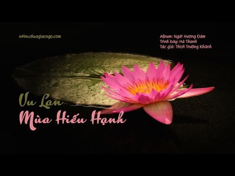 Vu Lan mùa hiếu hạnh