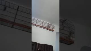 ROMARIA 683