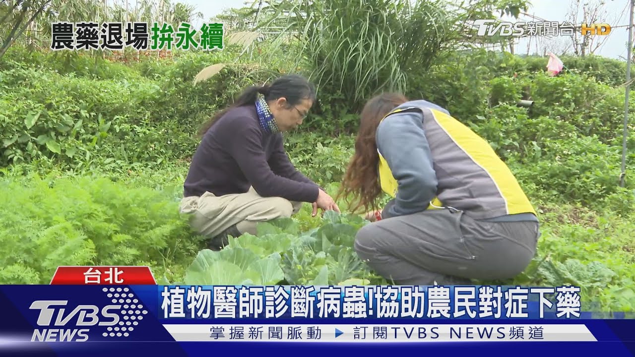10年化學農藥減半做得到？　專家：需完善配套、植物醫師輔導