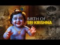 The Miraculous Birth Of Sri Krishna The Most Amazing Story Ever Told