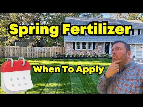 This Is When To Fertilize In Spring