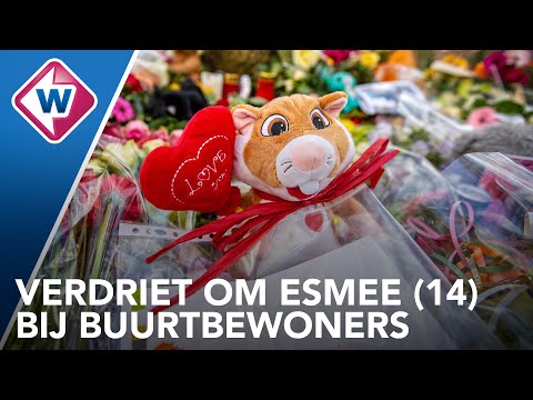 Buurt ontdaan door Esmee: 'Soms moet ik gordijnen dicht doen omdat 't me teveel wordt' - OMROEP WEST