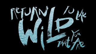 來台東，找回你的野 ｜Return to the Wild