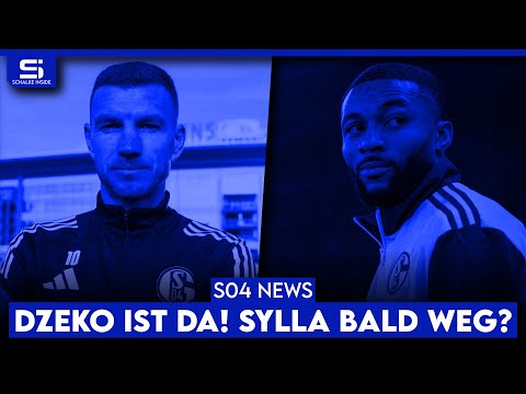 Schalke verpflichtet Dzeko! Geht Sylla noch? Weiterer Neuzugang nächste Woche? | S04 NEWS