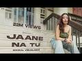 Jaane Na Tu Official Visualizer Bhoomi Almost Loved EP UR Debut