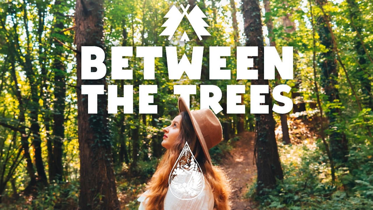 🌳 Between The Trees 2026 🌳 • An Indie/Folk/Acoustic Playlist