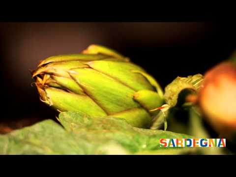 Il Gusto unico di Sardegna da portare a tavola.