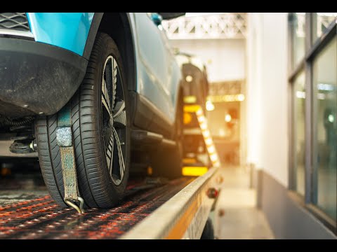 Zobacz filmy, Yogi, Pomoc Drogowa, Laweta Kewin Małolepszy, Kostrzyn nad Odrą