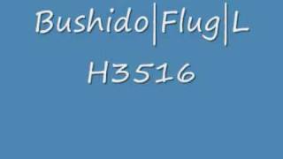 Bushido-Flug Lh 3516
