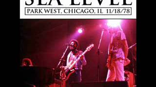 SEA LEVEL   THAT'S YOUR SECRET 1978 live