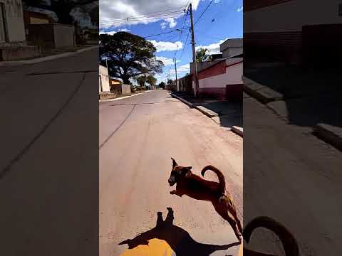 formoso de minas gerais