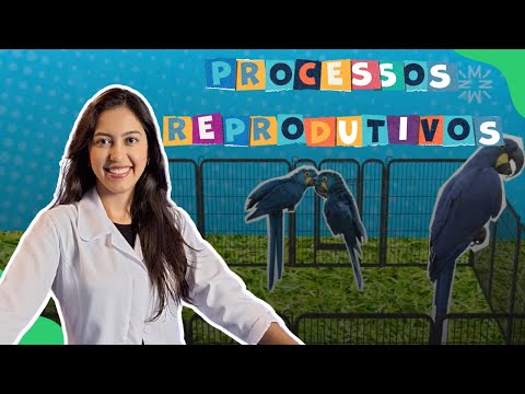 REPRODUÇÃO SEXUADA E  ASSEXUADA: ANA DUARTE EXPLICA | 8º ano – Ciências