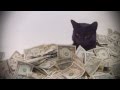 A Cat Rolling In Cash 