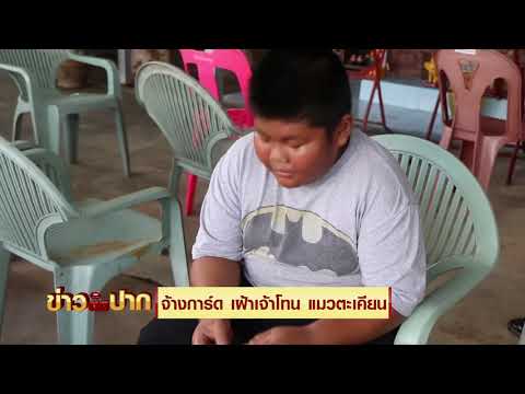 จ้างรปภ. เฝ้าเจ้าโทนแมวตะเคียน