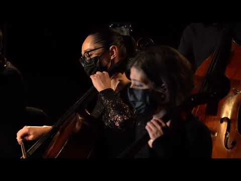 Orquestra de C&acirc;mara de Ponta Delgada | Concerto Online