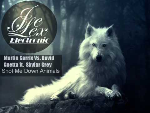Martin Garrix Vs. David Guetta Ft. Skylar Grey - Shot Me Down Animals (Joe Lex MashUp)