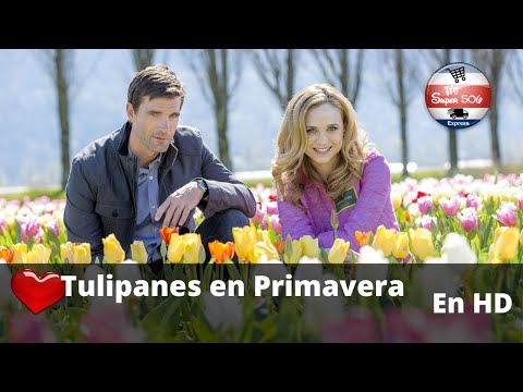 Tulipanes en Primavera / Peliculas Completas en Español / Navidad / Romance / Drama