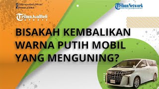 Beli Mobil Warna Putih Berpotensi Bakal Berubah Menguning Seiring Pemakaian, Bisakah Diperbaiki?