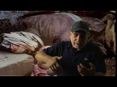 Ve Zaman Durdu | Ramazan Öztürk