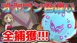 【LEGENDS アルセウス】オヤブン色違い全部捕獲する旅 part１